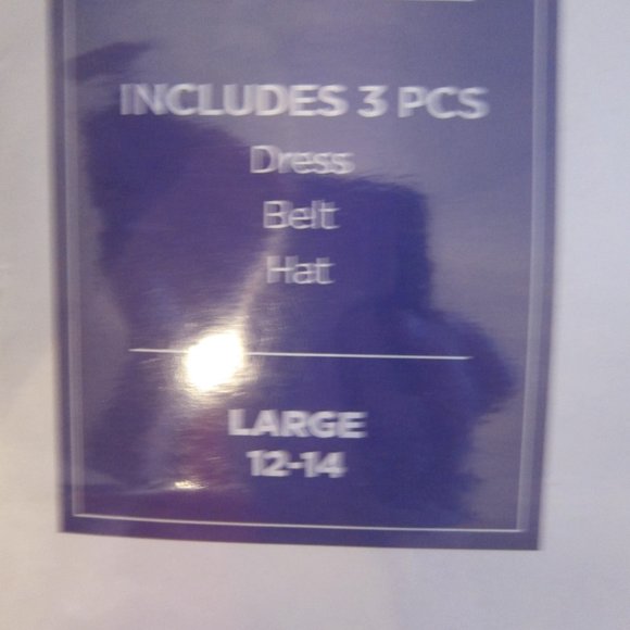 Lil' Witch Girl's Halloween Costume size Large 12-14 - Picture 2 of 2